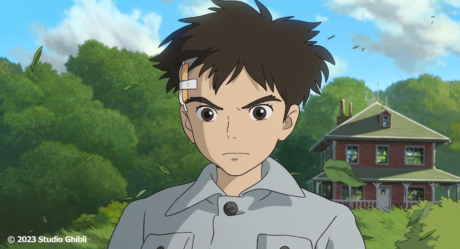 Affiche de Le Garçon et le Héron